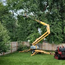 Artificial Turf Installation in Arizona City, AZ